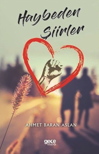 Haybeden Şiirler Ahmet Baran Aslan Gece Kitaplığı