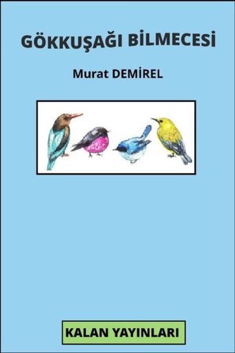 Gökkuşağı Bilmecesi Murat Demirel Kalan Yayınları