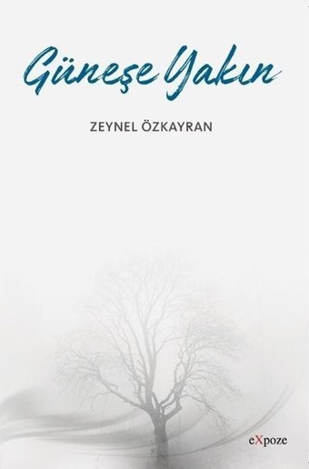 Güneşe Yakın Zeynel Özkayran Expoze