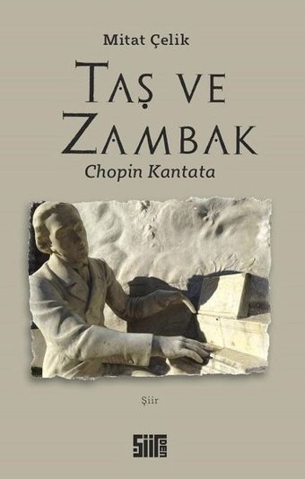 Taş ve Zambak Mitat Çelik Şiirden Yayınları