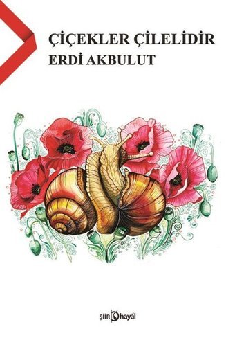Çiçekler Çilelidir Erdi Akbulut Hayal