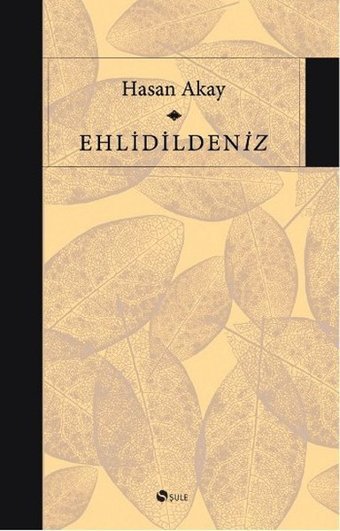Ehlidildeniz Hasan Akay Şule Yayınları