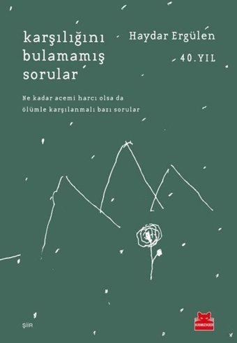 Karşılığını Bulamamış Sorular Haydar Ergülen Kırmızı Kedi