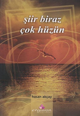Şiir Biraz Çok Hüzün Hasan Akçay Erguvan Yayınları