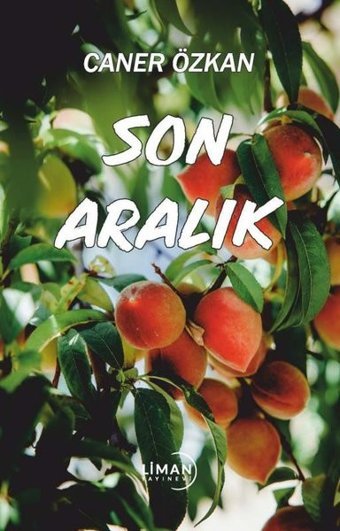 Son Aralık Caner Özkan Liman Yayınevi