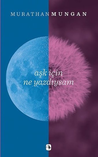 Aşk İçin Ne Yazdıysam Murathan Mungan Metis Yayınları