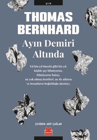 Ayın Demiri Altında Thomas Bernhard Kırmızı Kedi