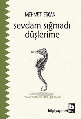 Sevdam Sığmadı Düşlerime Mehmet Ercan Bilgi Yayınevi