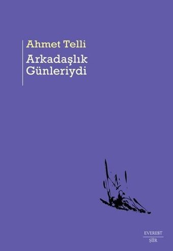 Arkadaşlık Günleriydi Ahmet Telli Everest Yayınları