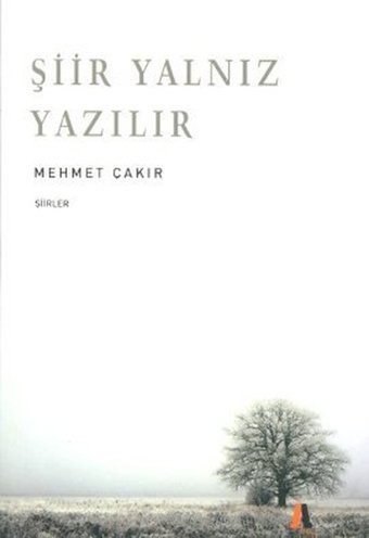 Şiir Yalnız Yazılır Mehmet Çakır Akis Kitap