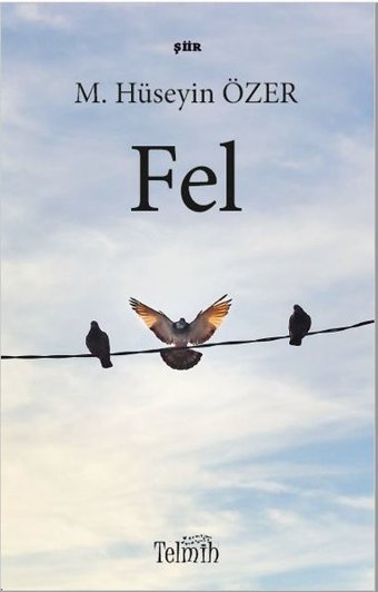 Fel M. Hüseyin Özer Telmih Kitap