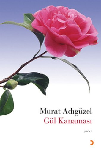 Gül Kanaması Murat Adıgüzel Cinius