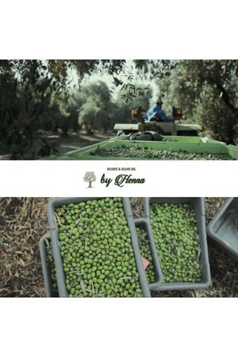 By Henna Gemlik Siyah Zeytin Kavanoz 650 gr