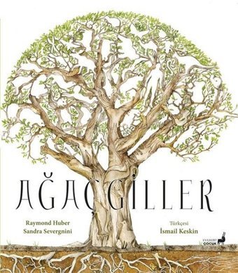 Ağaçgiller - Renkli Resimli Raymond Huber Everest Yayınları