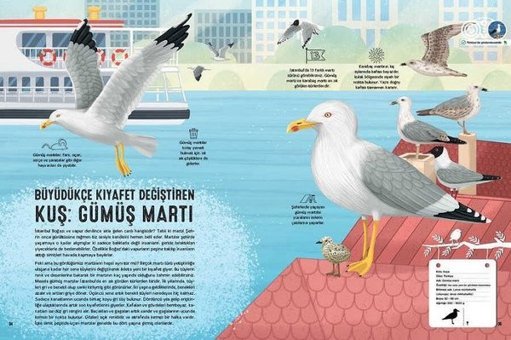 Kuş Atlası Emrah Çoraman Taze Kitap