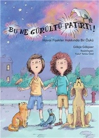 Bu Ne Gürültü Patırtı?-Havai Fişekler Hakkında Bir Öykü Gökçe Gökçeer Meav Yayıncılık