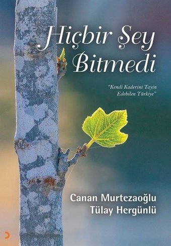 Hiçbir Şey Bitmedi - Kendi Kaderinin Tayin Edebilen Türkiye Canan Murtezaoğlu, Tülay Hergünlü Cinius