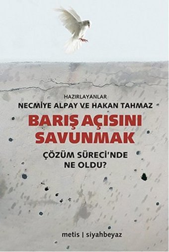 Barış Açısını Savunmak Kolektif Metis Yayınları