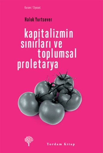 Kapitalizmin Sınırları ve Toplumsal Proletarya Haluk Yurtsever Yordam Kitap