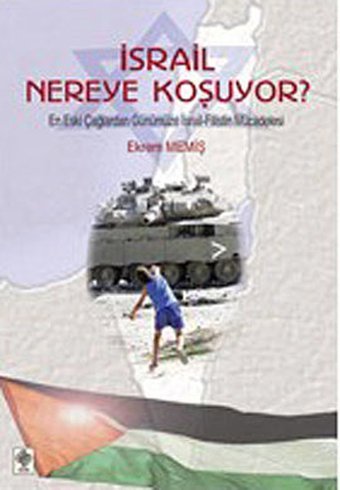 İsrail Nereye Koşuyor? Ekrem Memiş Ekin Basım Yayın