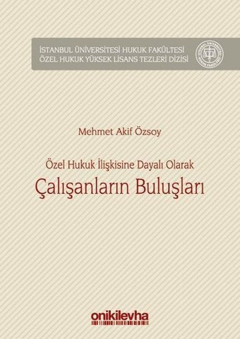 Özel Hukuk İlişkisinE Dayalı Olarak Çalışanların Buluşları Mehmet Akif Özsoy On İki Levha Yayıncılık