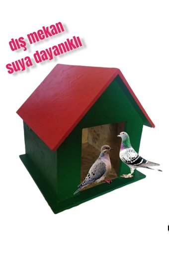 Değerli Güvercin Yuvası
