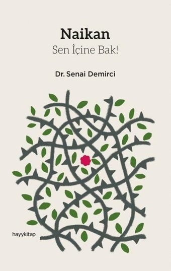 Naikan-Sen İçine Bak! Senai Demirci Hayykitap