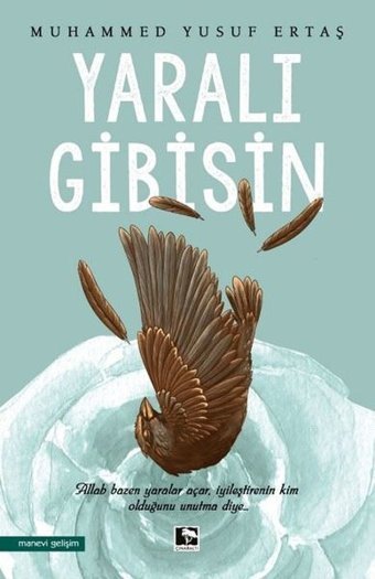 Yaralı Gibisin Muhammed Yusuf Ertaş Çınaraltı Yayınları