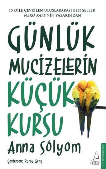 Günlük Mucizelerin Küçük Kursu Anna Solyom Destek Yayınları