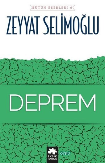 Deprem Zeyyat Selimoğlu Eksik Parça Yayınları
