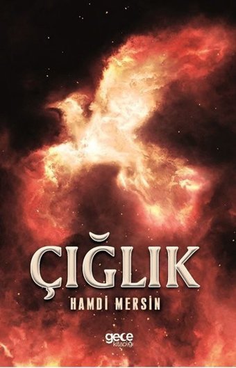 Çığlık Hamdi Mersin Gece Kitaplığı