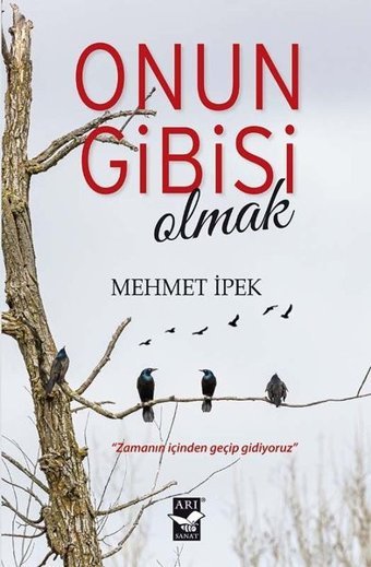 Onun Gibisi Olmak Mehmet İpek Arı Sanat Yayınevi