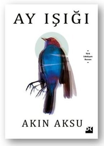 Ay Işığı Akın Aksu Doğan Kitap