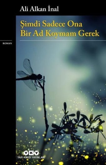 Şimdi Sadece Ona Bir Ad Koymam Gerek Ali Alkan İnal Yapı Kredi Yayınları