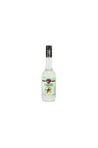Fo Bahçe Nanesi Aromalı Kahve Şurubu 700 ml