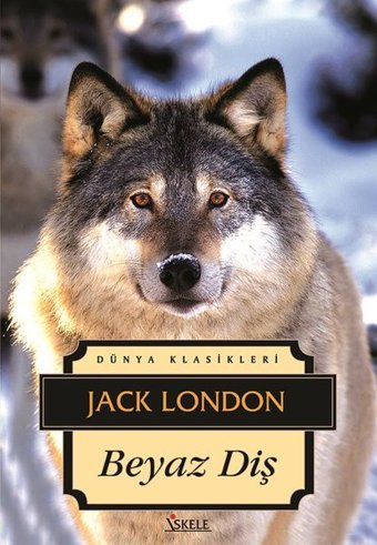 Beyaz Diş Jack London İskele Yayıncılık