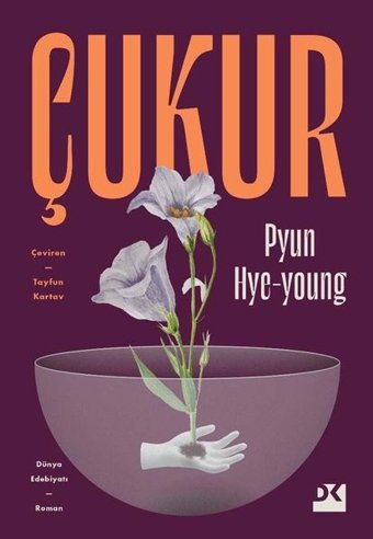 Çukur Pyun Hye Young Doğan Kitap
