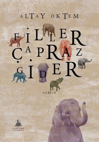 Filler Çapraz Gider Altay Öktem Yitik Ülke Yayınları