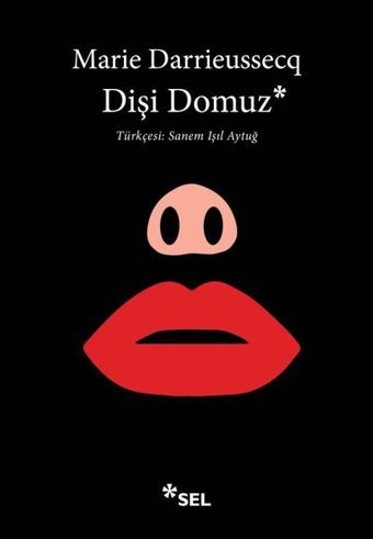 Dişi Domuz Marie Darrieussecq Sel Yayıncılık