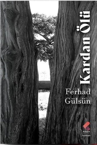 Kardan Ölü Ferhad Gülsün Klaros Yayınları