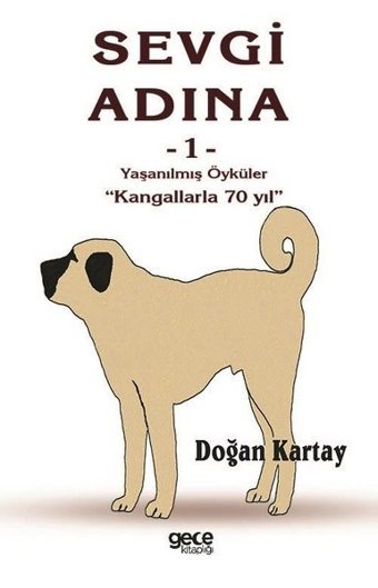 Yaşanılmış Öyküler-Sevgi Adına 1 Doğan Kartay Gece Kitaplığı