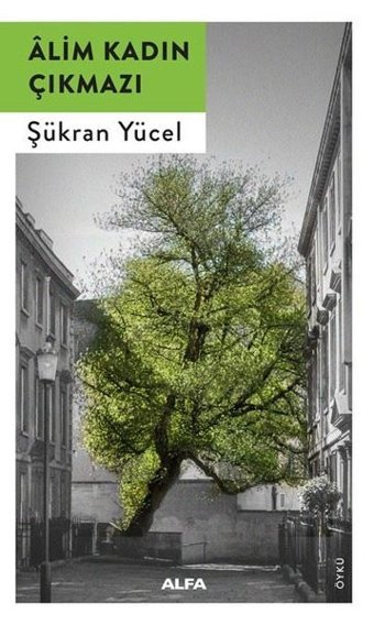 Alim Kadın Çıkmazı Şükran Yücel Alfa Yayıncılık