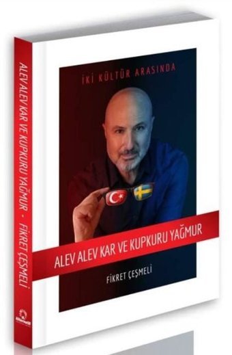 Alev Alev Kar ve Kupkuru Yağmur Fikret Çeşmeli Alternatif Yayıncılık