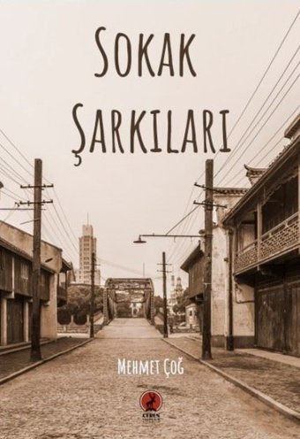 Sokak Şarkıları Mehmet Çoğ Ceren Yayınevi