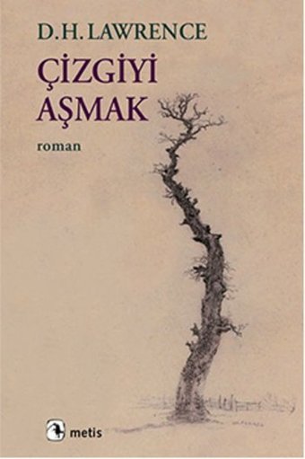 Çizgiyi Aşmak D. H. Lawrence Metis Yayınları