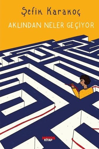 Aklından Neler Geçiyor Şefik Karakoç Notos