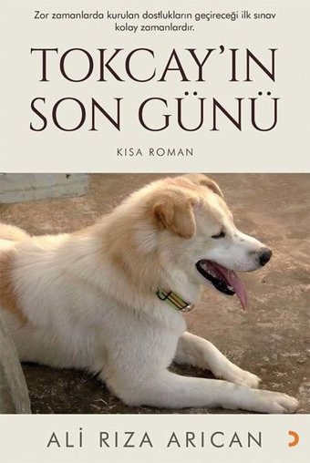 Tokcayın Son Günü - Kısa Roman Ali Rıza Arıcan Cinius