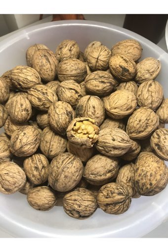 Taraklı Köy Ürünleri Organik Tane Kabuklu Ceviz 5 kg