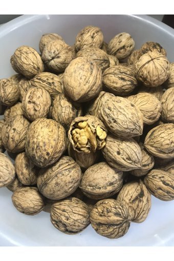 Taraklı Köy Ürünleri Organik Tane Kabuklu Ceviz 5 kg
