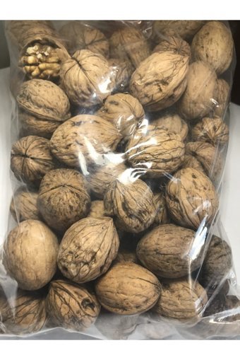 Taraklı Köy Ürünleri Organik Tane Kabuklu Ceviz 5 kg